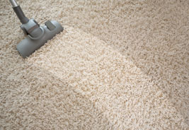 carpet-cleaners S